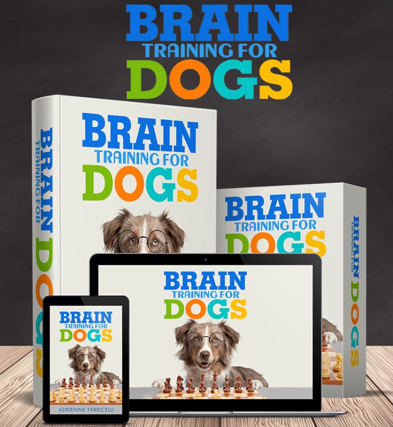 Brain Training for Dogs - Safe Techniques To Remove Dog Bad Behaviour (2023)