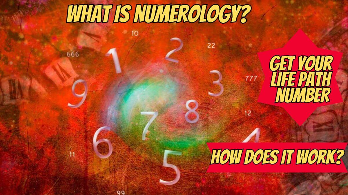 what is numerology